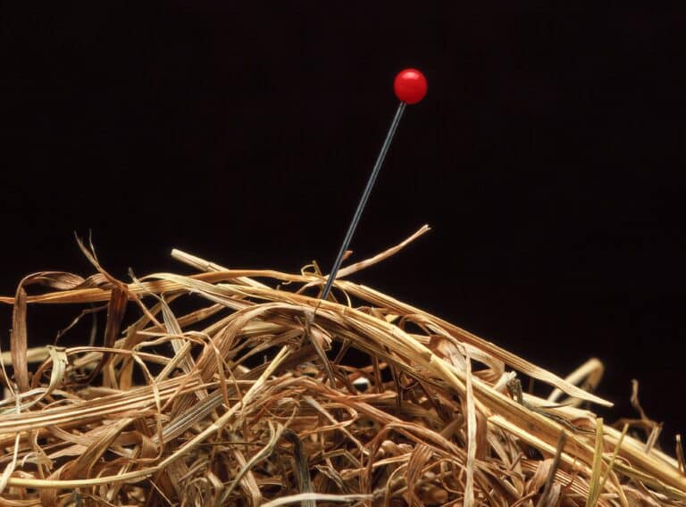 Vacatures internationale werving